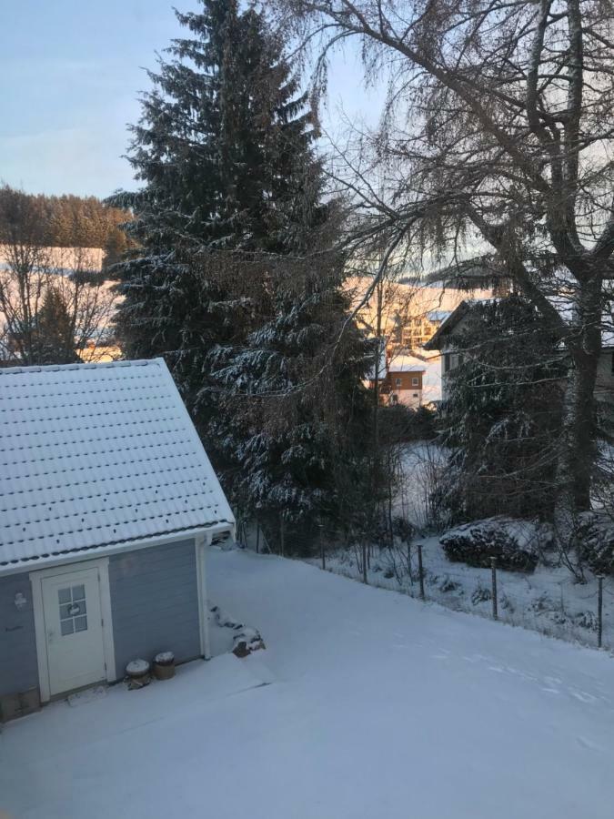 Haus Madita Breitnau Bagian luar foto